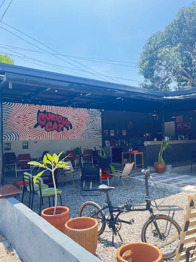 Curious Cat Common Space in La Union